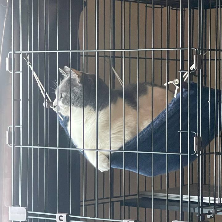 8e59345b d1d9 4f52 be00 aef0a8dd999b 1745446767409