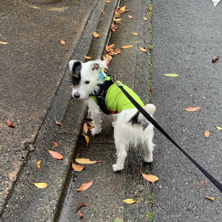 8e595f70 0517 4934 a496 ece9592befd6 1586754444304