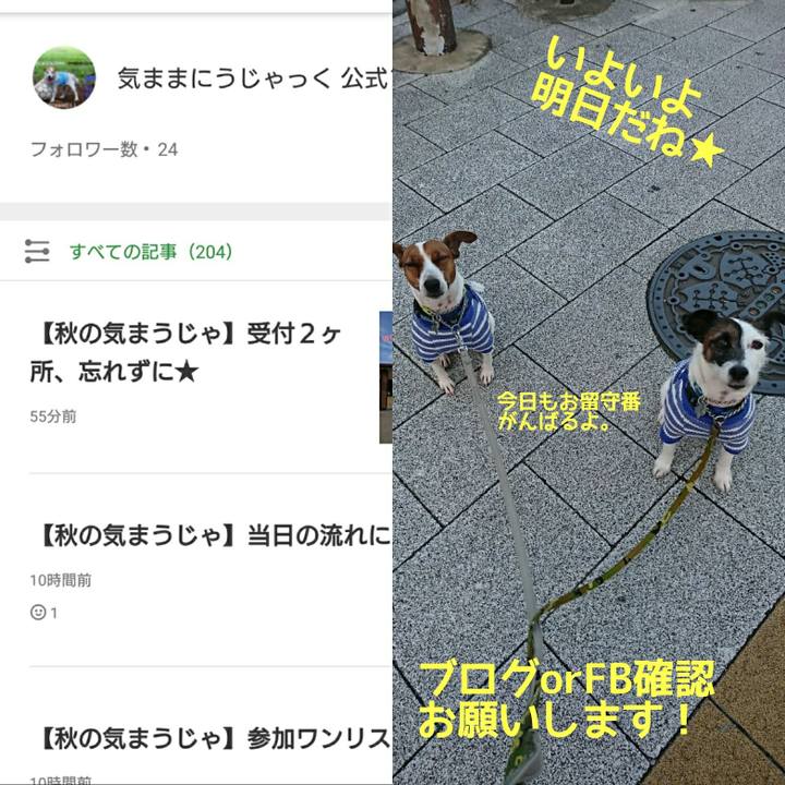 8e596d17 60b1 4794 8855 3410a4d68868 1573253283924