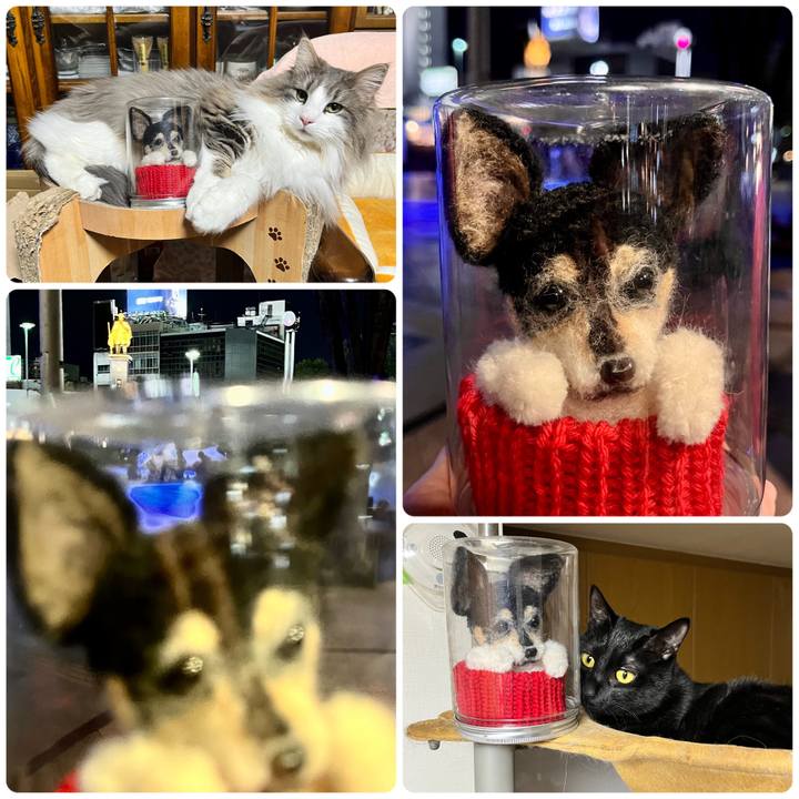 8e597334 1a4f 40ab 9e7b f28c0fe1b75e 1679063840359