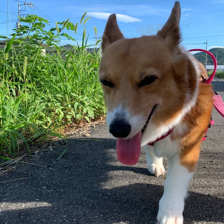 8e5995f0 f668 46d0 8e16 113fc3cf8cad 1722207404944