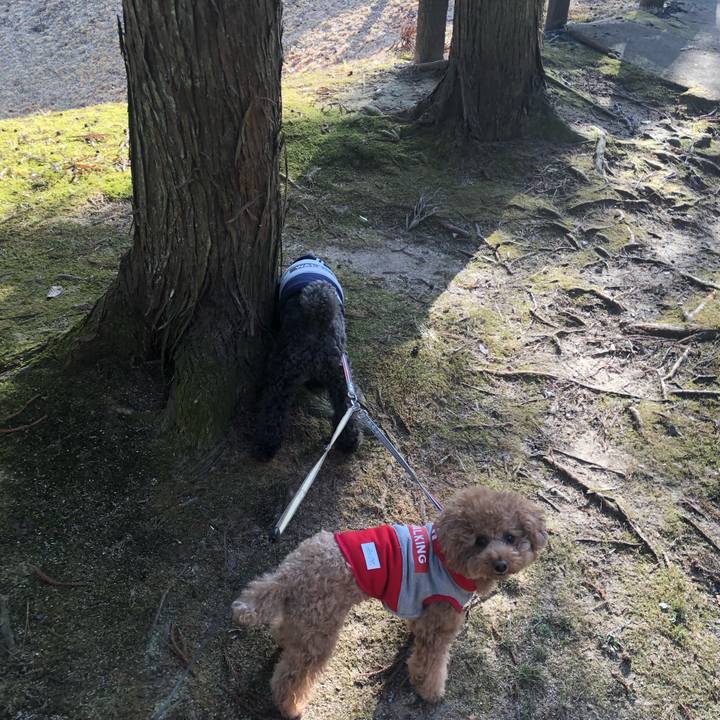 8e59a280 0042 4d72 89a8 39bac40c2c40 1610607486871