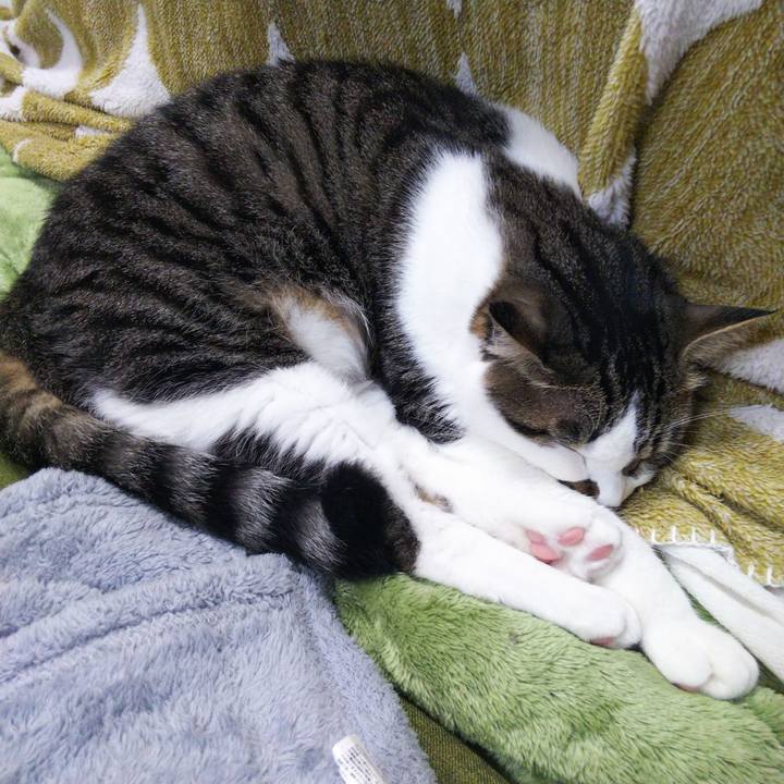 8e59b53b 4f41 4511 82f9 81c53d14986a 1652679981328