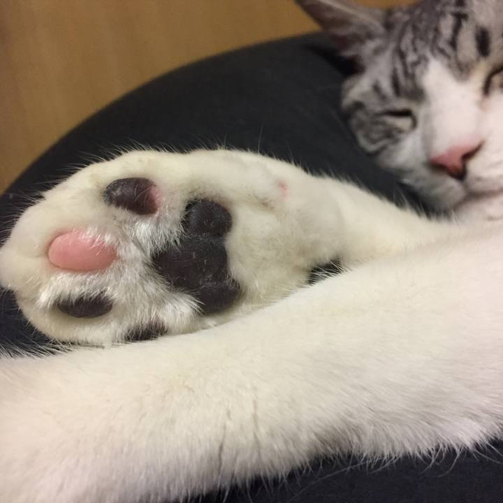 8e59d46d a6df 4727 abd8 940b2e9ab9be 1527083100869