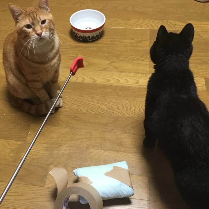 8e59df26 f28f 4c59 a400 a8277c65f6e5 1532431221989