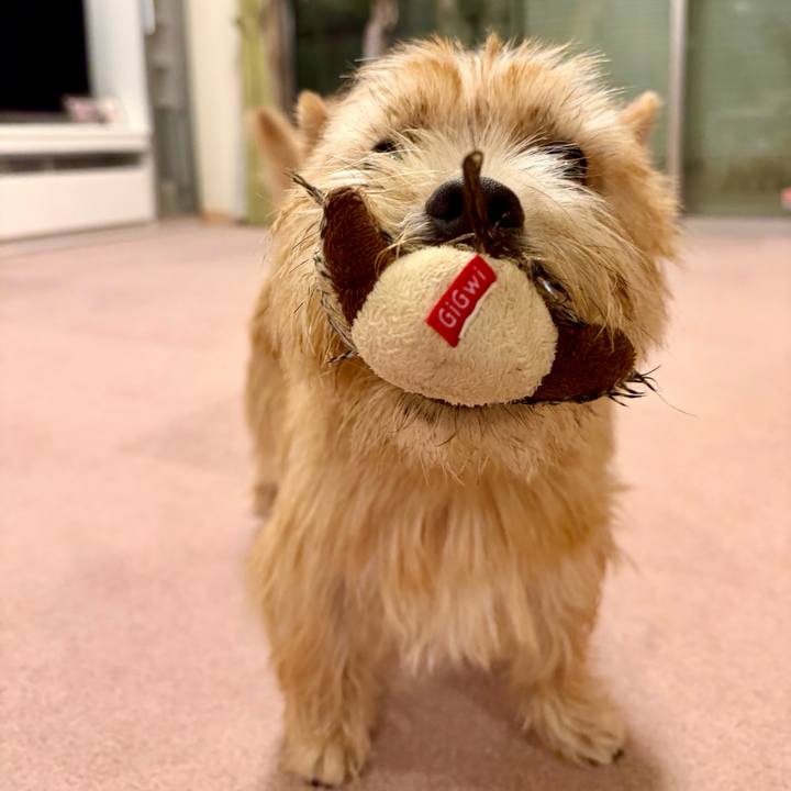 8e59e739 3943 4a89 a140 de4ecd4e6de0 1761056140341