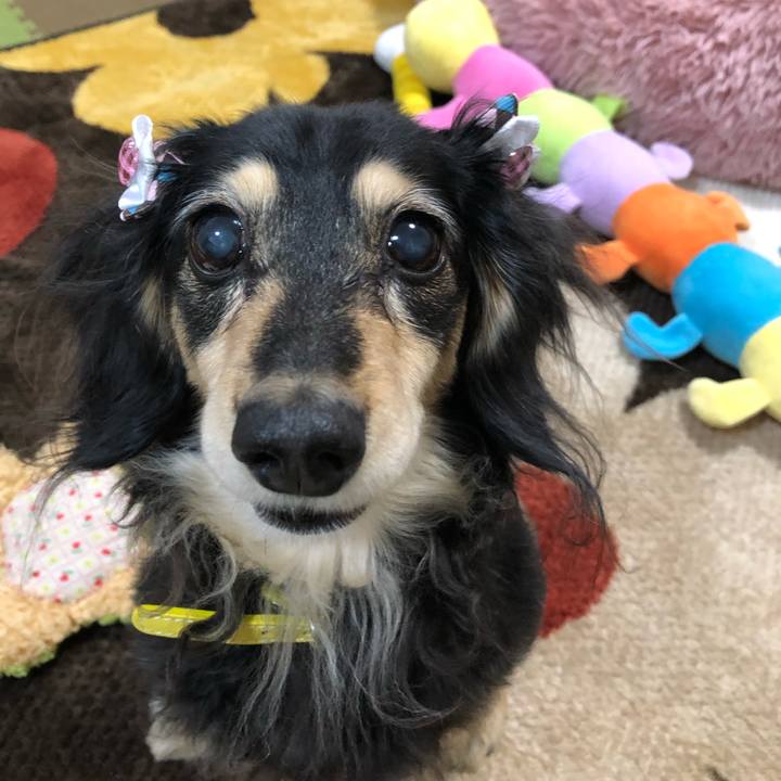 8e59eb2a fdd0 466c a801 b04df1fcaa35 1613738729608