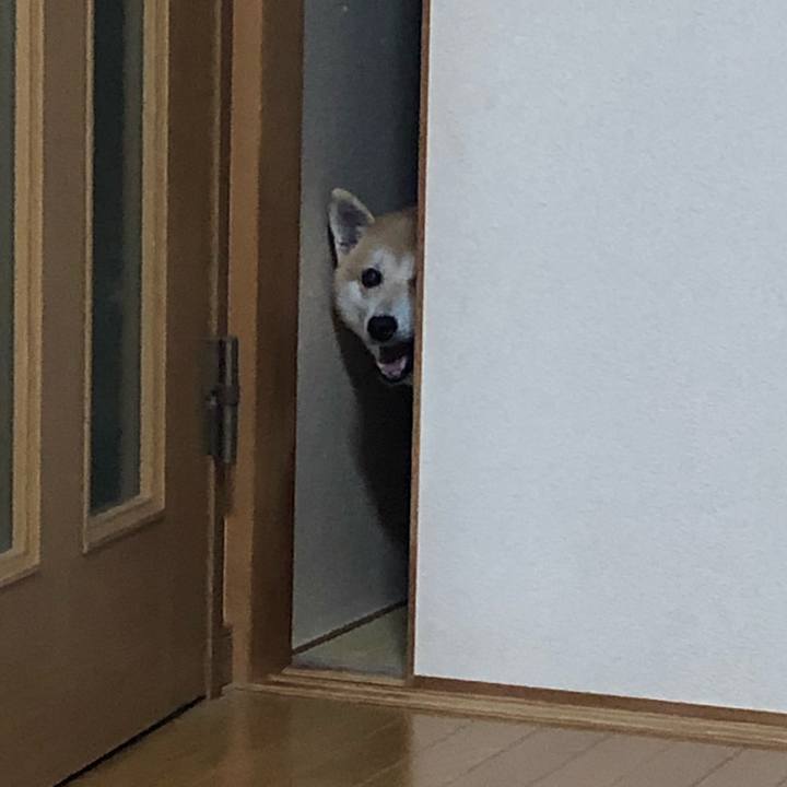 8e59ed50 fb44 4714 8074 f7bafd01c518 1568637539303