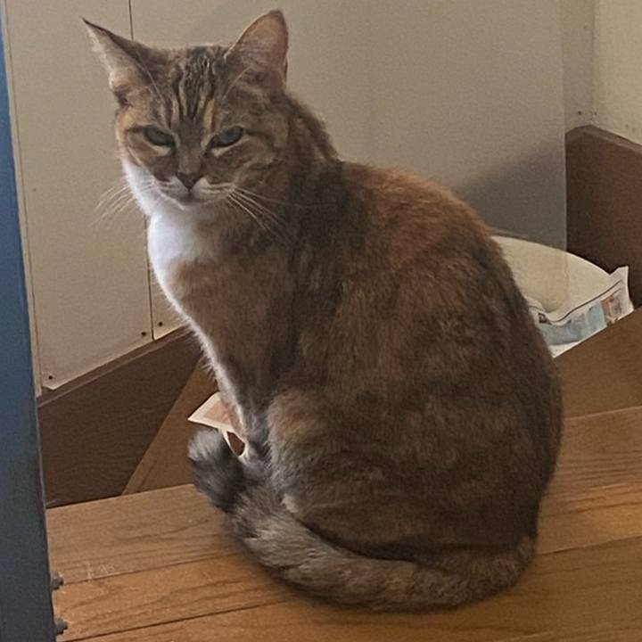 8e5a0045 c1e7 4b9a a2f0 a6082c25a13a 1771826942889