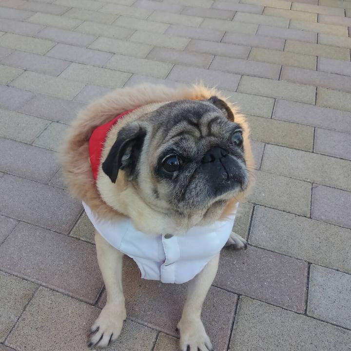 8e5a0d08 03b2 4802 89c7 c77166fa1532 1517786129558