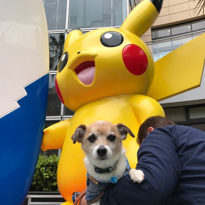 8e5a2db4 3d82 4d63 807f f776b140f746 1653114027914