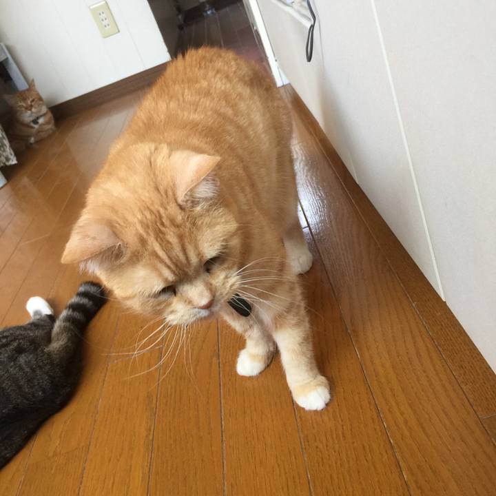 8e5a4199 9a57 47e0 ad1c be1dded1371f 1558754879466