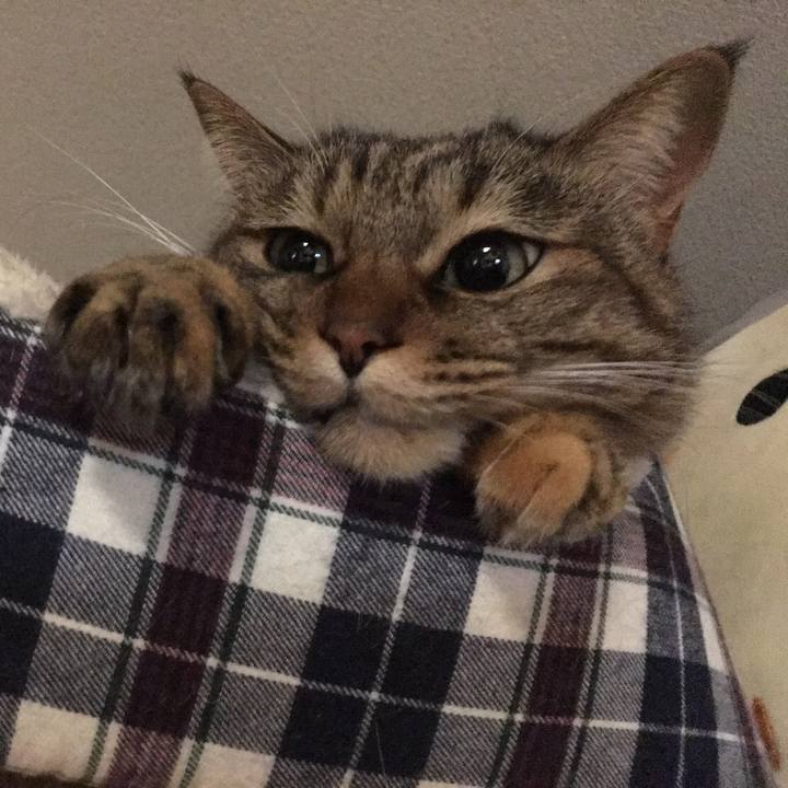 8e5a64dc 2127 458a 84d1 54659e1e8e4b 1512685604021