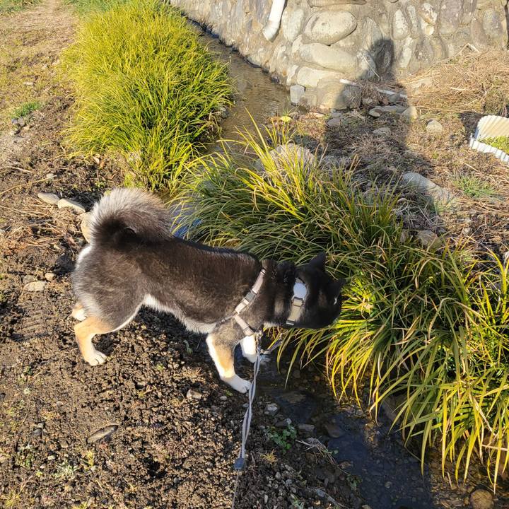 8e5aa1e3 d140 4b82 9bd5 5d6a3c133d6a 1769556886226