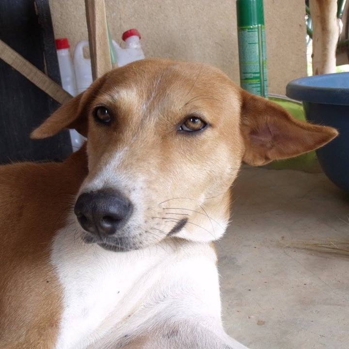 8e5aaf4d 7a44 4434 a0b5 c9ef34287973 1554932422750