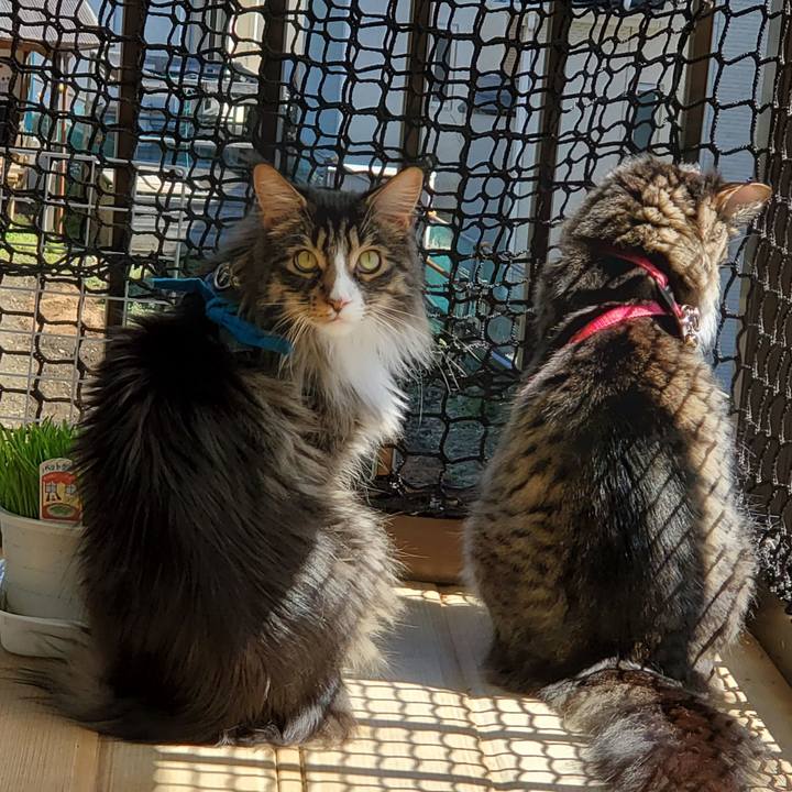 8e5ab1d4 c0ca 4a19 9fcc 7540c7553e44 1711574334985