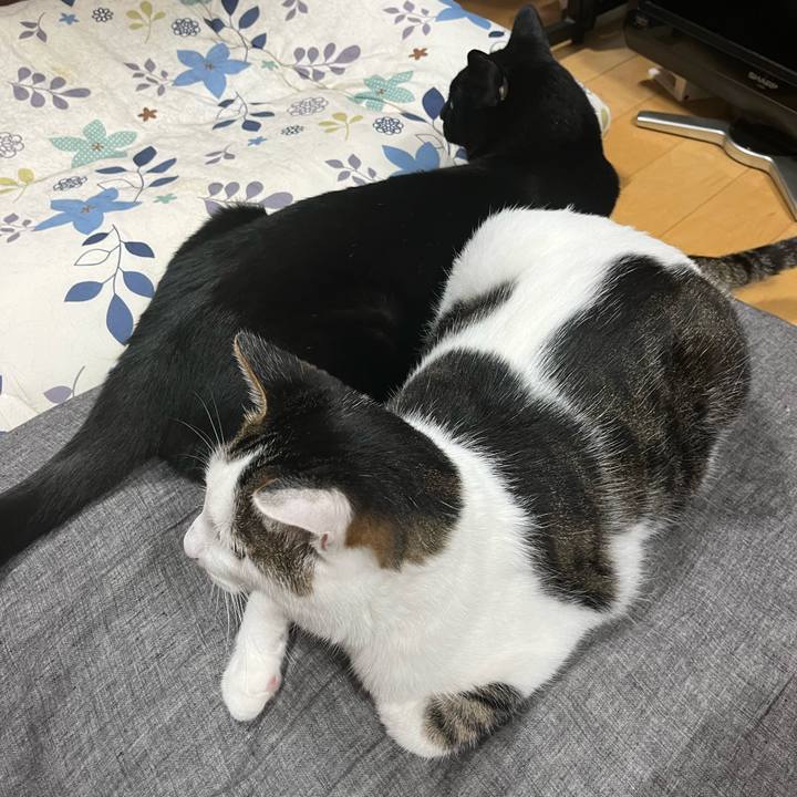 8e5ab1f3 6b34 4002 b467 a80a8e04a0f8 1718974260376