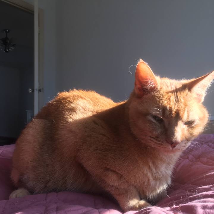 8e5ab253 77fe 438b a2db b3a1928d5aa5 1646963833798