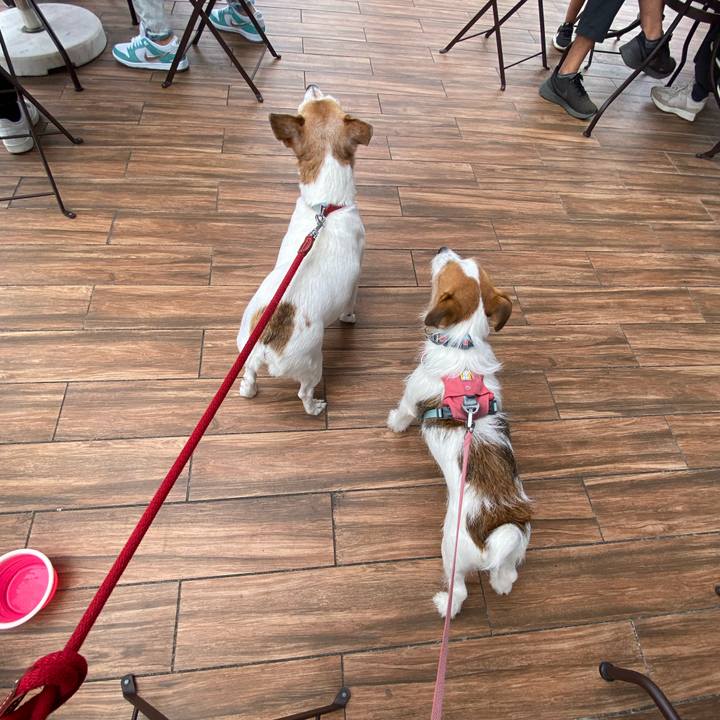 8e5ad317 1ee3 42d2 a46d 2b89519db7b4 1730009467757