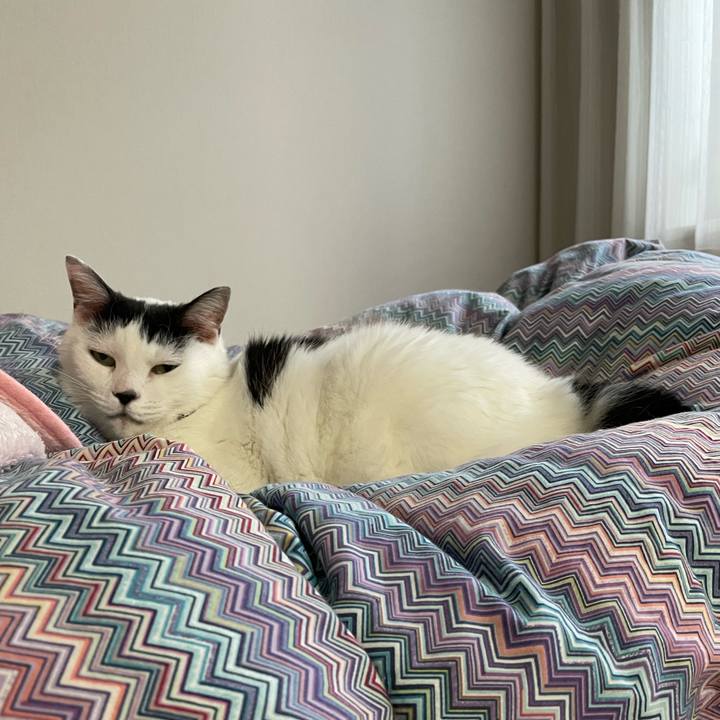 8e5ad605 335e 458d a226 b96506fffff0 1634862753039