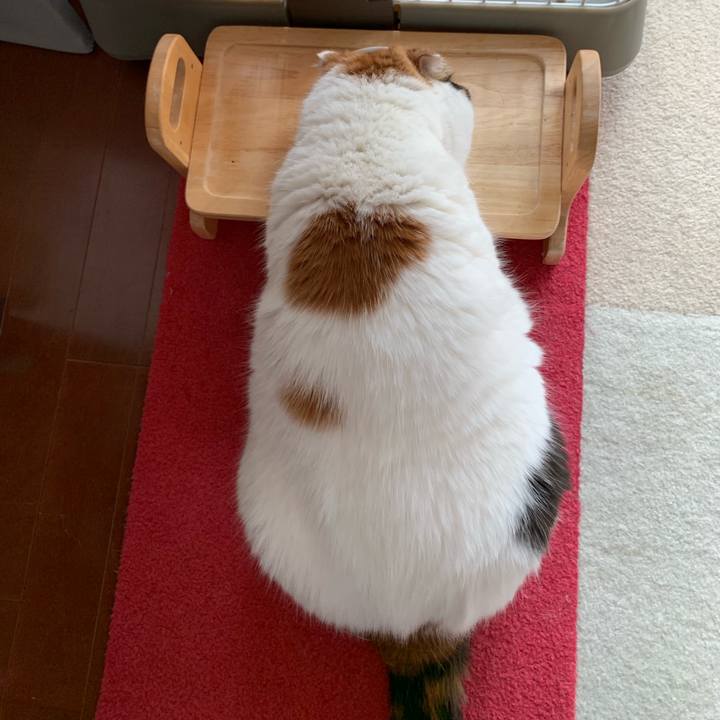 8e5ae175 4dbf 437b a3dd b1285048e66e 1563574897330