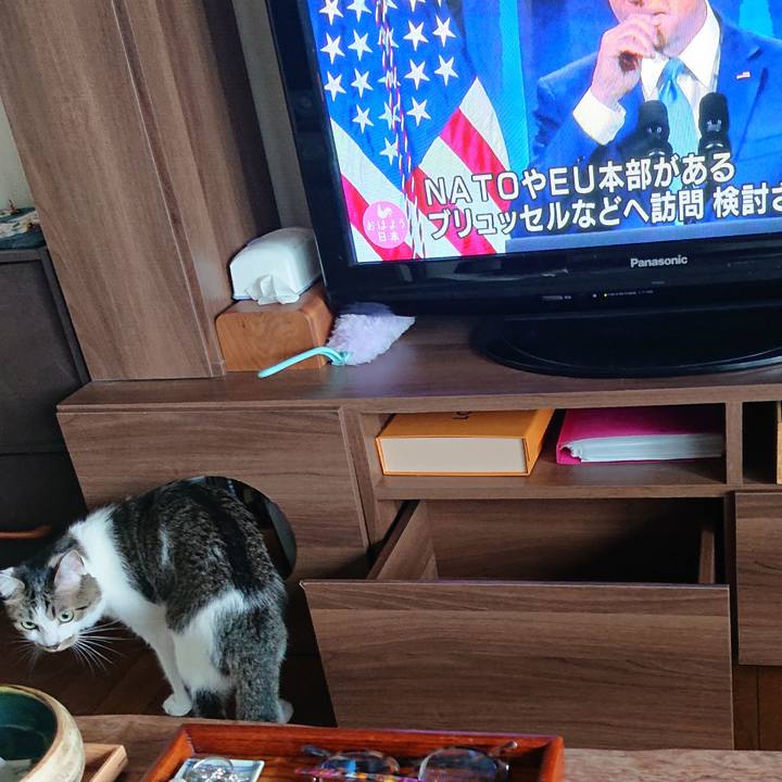 8e5b651c e9a1 41c6 8835 9258ff97a29b 1647301961756