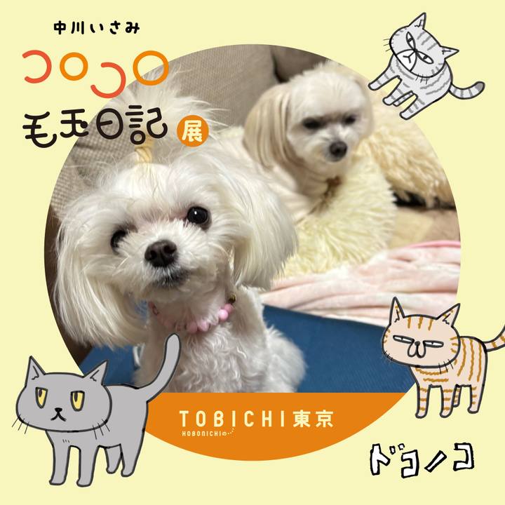 8e5ba6af 8764 4500 bd19 cb9770aea550 1740322928022