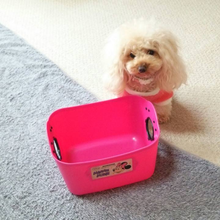 8e5bcfe9 9b97 419a a54e ded37d8c19c0 1515843026146