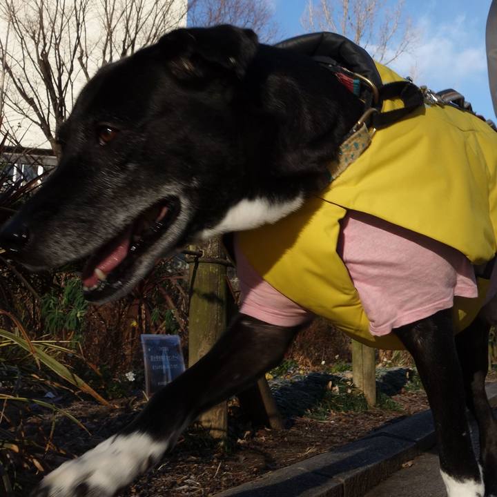 8e5bf932 cce9 47d5 b0c8 32a368c0a89c 1738716085254