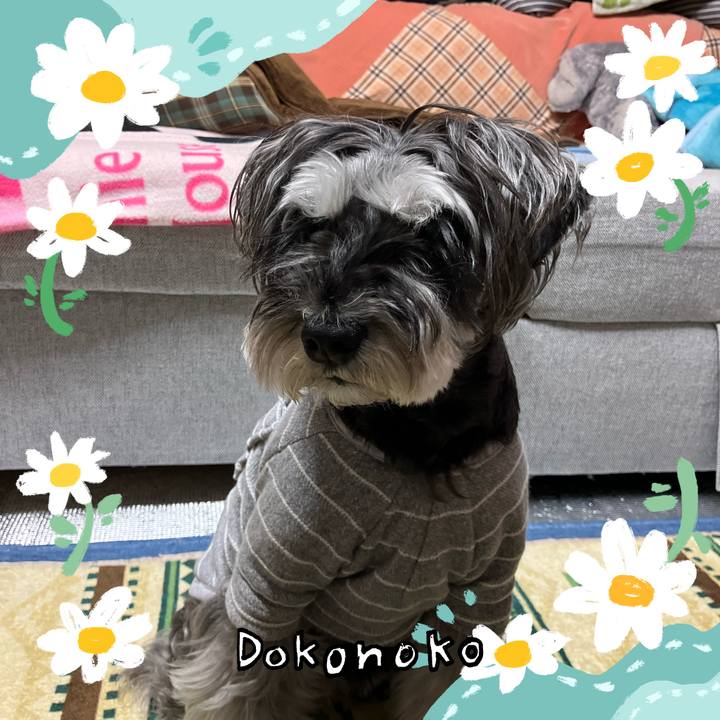 8e5c144a 024c 4c76 9286 f6ea97e39055 1712226349807