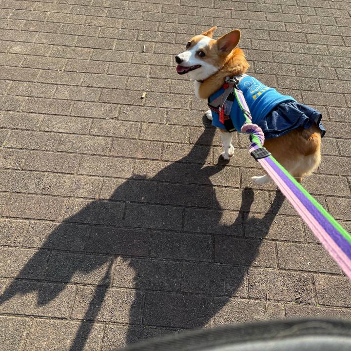 8e5c4a6b 4451 49fa 9ff2 fed175f5e57a 1771844900196