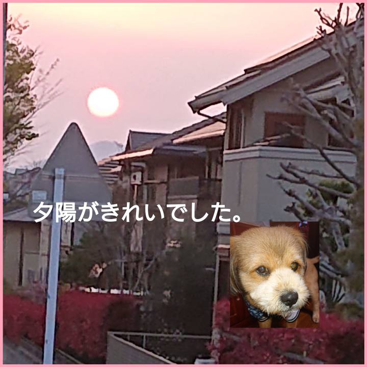 8e5c85f1 1768 4218 a7c9 ec2bda4fe496 1554457791180