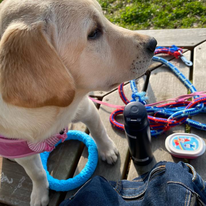 8e5ca8bf 393c 4775 a4ab e569b99a1172 1615622117067