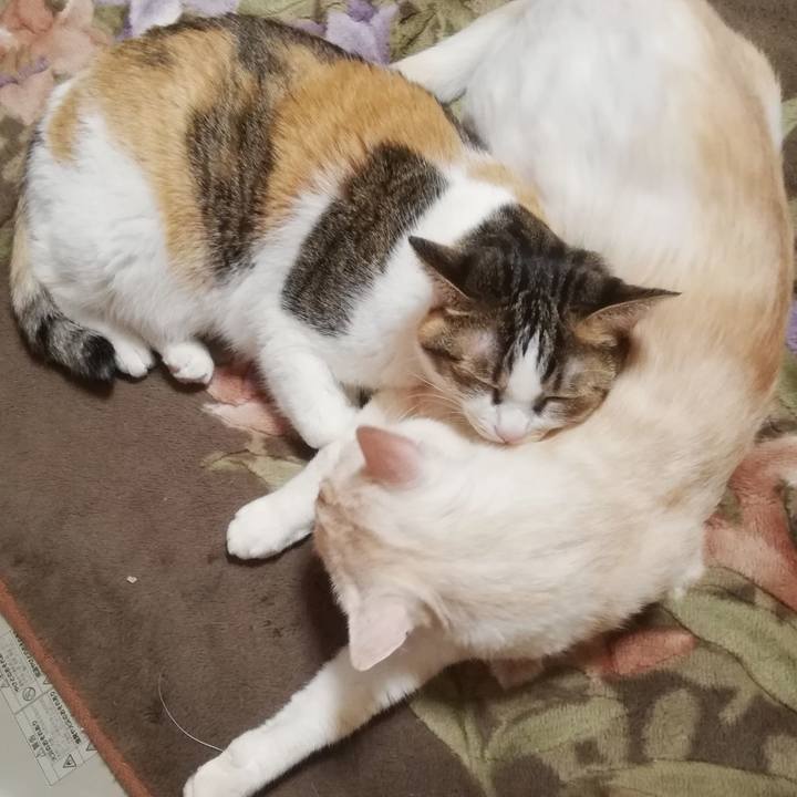 8e5cbe08 c07e 42e6 8290 e97bcae0bb64 1673303289497