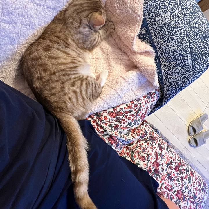 8e5cc01d 2482 4bd3 8fb6 4f021deb3fac 1687095102518