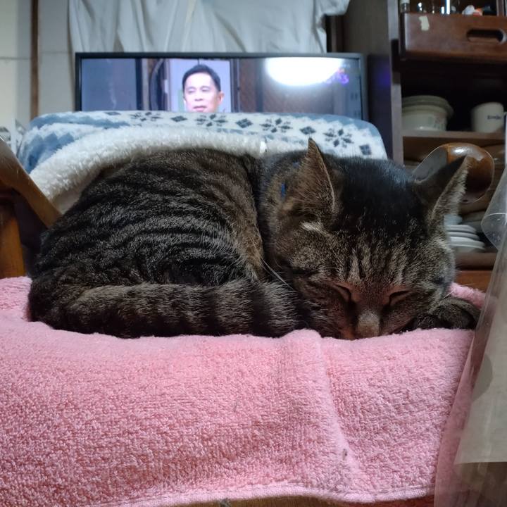 8e5cd754 dfe0 4048 8ebc 5dfb997892a1 1676031585110