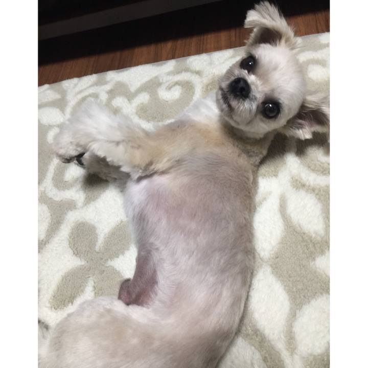 8e5d08c0 c4b5 4d36 83cc 6aabc38d2769 1543663940183