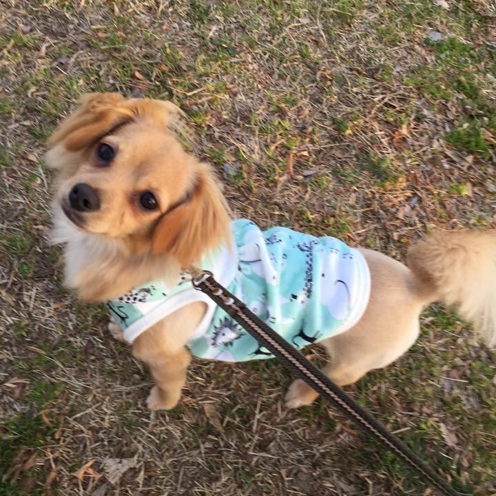 8e5d1e74 e8d0 46f6 a814 33c8aaa52e56 1521807289979