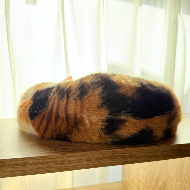 8e5d3ac7 b644 4162 8637 90b8a46a0bbd 1734488173281