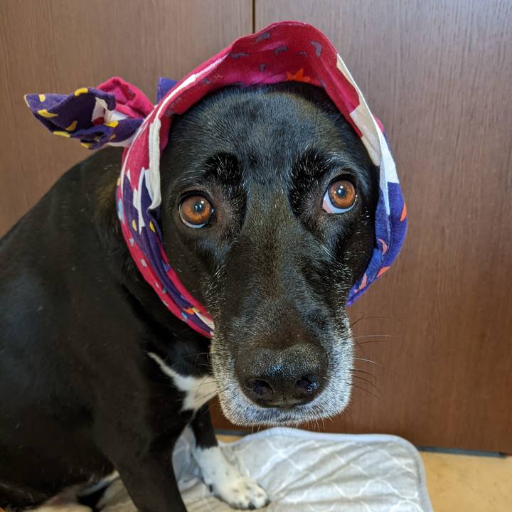 8e5d4307 49c8 4b30 9266 9b71f0dbd4e5 1692700841996