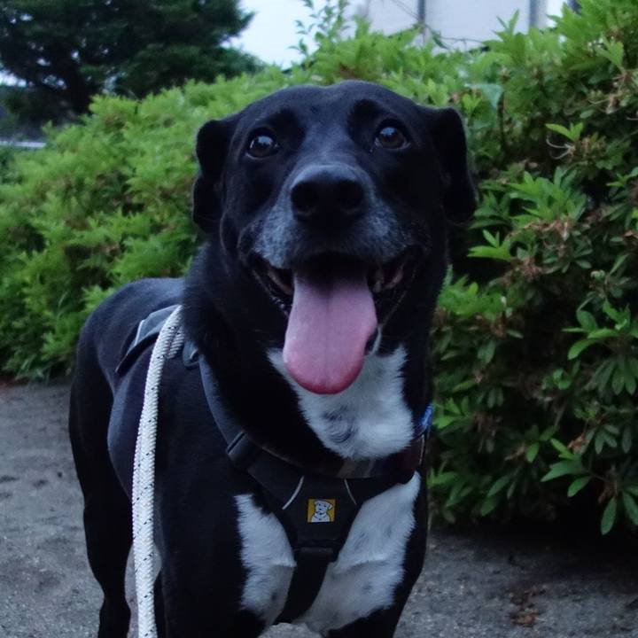 8e5d7110 af9d 4c1b 9f0a d0f496bb6176 1653994522176