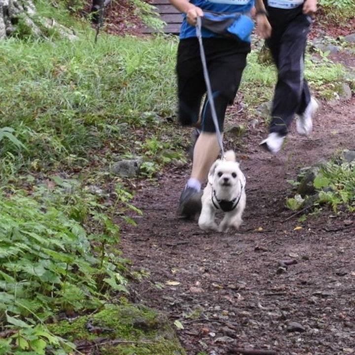 8e5d7468 7d89 45a4 915f a70f8491ece0 1561465866159