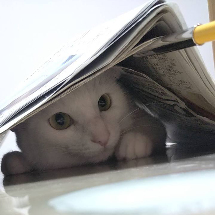 8e5db7c1 5d44 4528 820d b1c7a27faf35 1657679343877