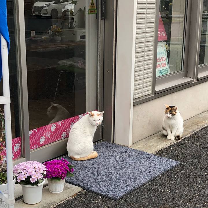 8e5dbc72 eee1 47de a2f7 762fa508d6e7 1649604080445