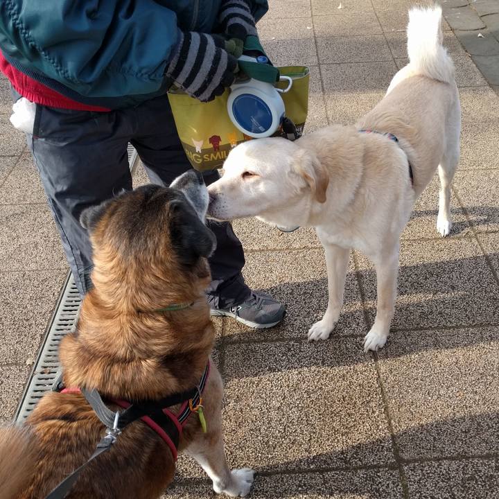 8e5dbf0d 6b71 4852 8bca 2072dcd3814c 1550795478731