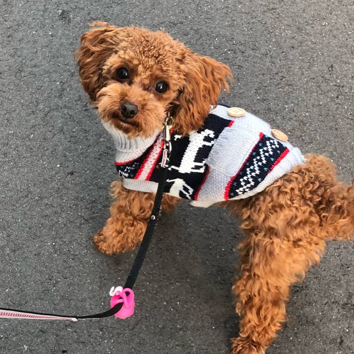 8e5dd520 d24c 47fd 892b 8c72953578ad 1513075856201