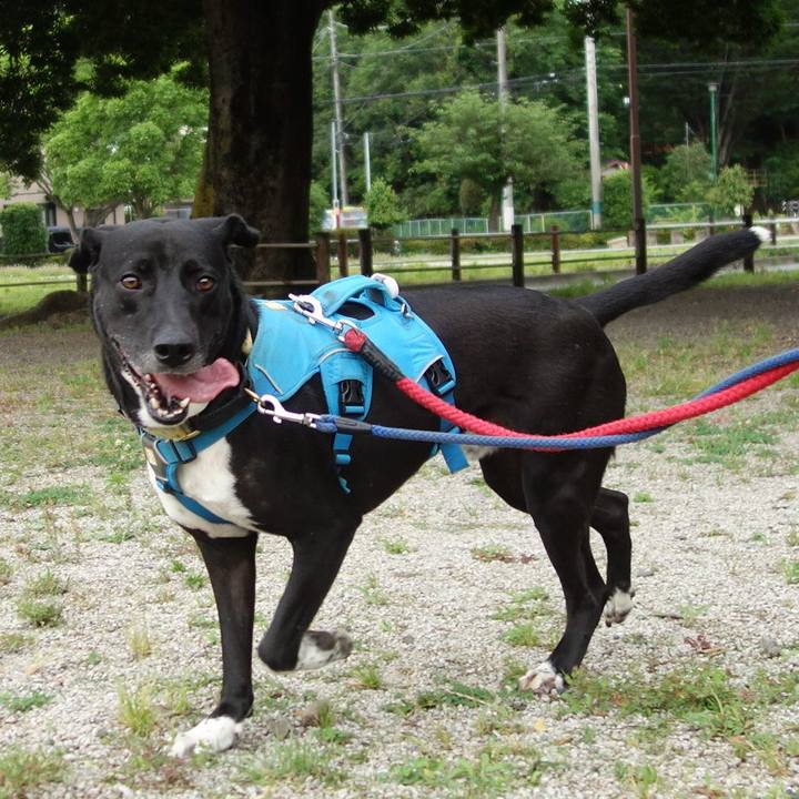 8e5dddf0 0dd4 4536 a63b 4213474a28ce 1622334842264