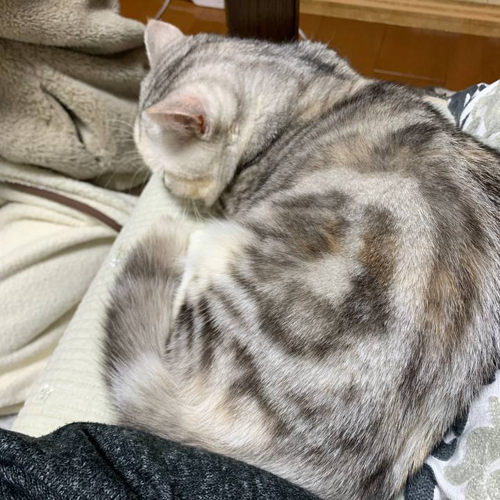 8e5e00fb 3a5b 475e bb58 5f48da218d7c 1707141458941