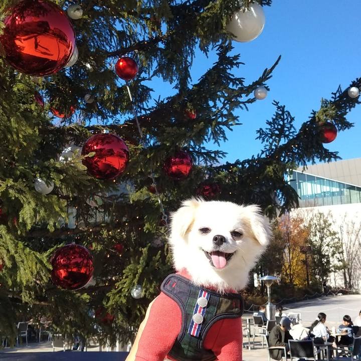 8e5e039e 9659 442d b071 4118e4e9cddc 1702213154569