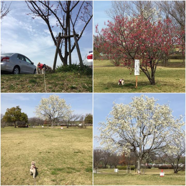 8e5e3526 dbc6 4660 a175 e5a009844713 1553237249693